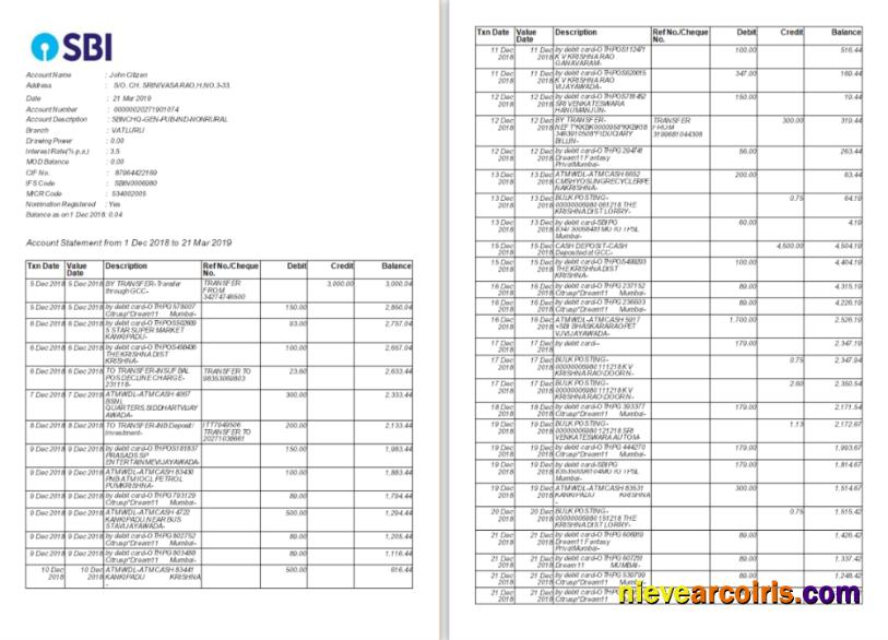 Premium India SBI Bank Statement Word And PDF Template, 2 Pages