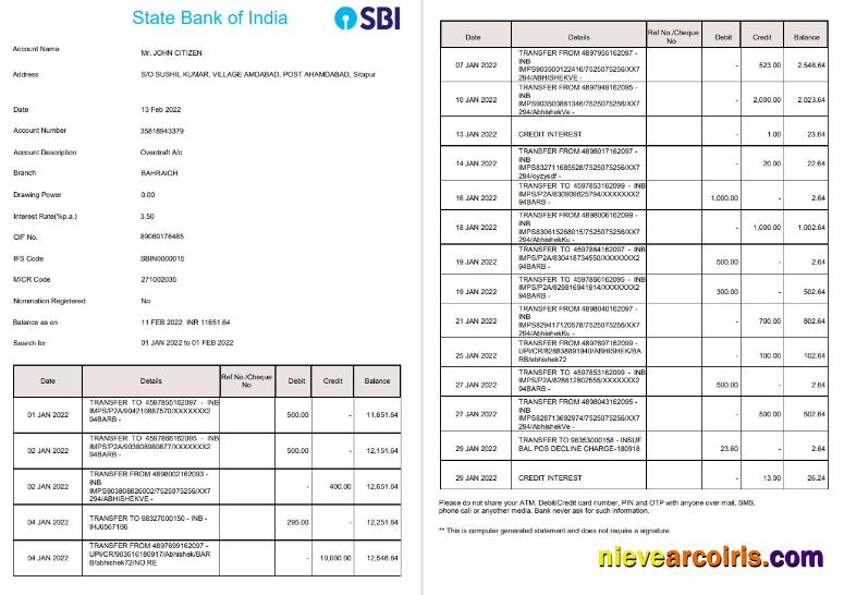 India State Bank Of India (SBI) Bank Statement 2 Pages Sample