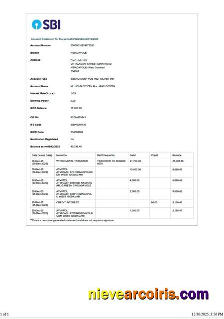 Premium India State Bank Of India Account Statement Word And PDF Template, Version 3