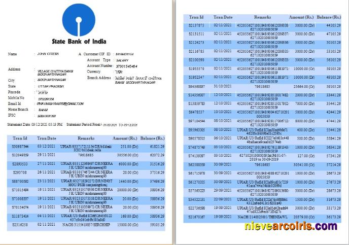 Professional India State Bank Of India Bank Statement Template, Word And PDF Format, 6 Pages
