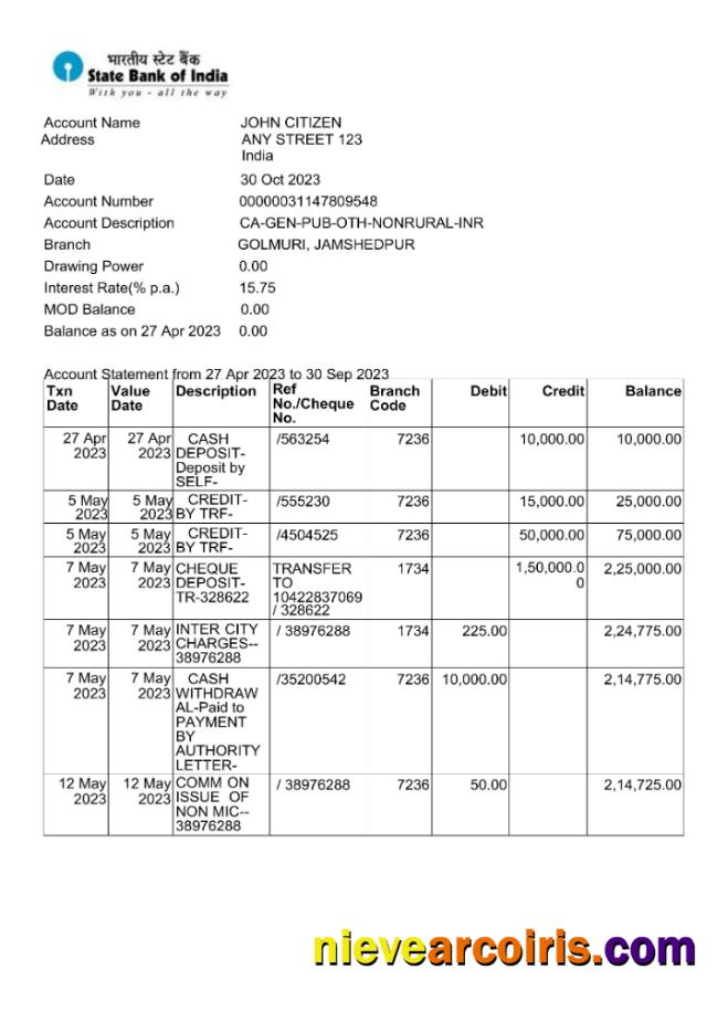 Editable India State Bank Of Inida Bank Statement Word And PDF Template Scr