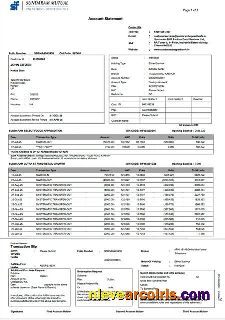 Professional India Sundaram Mutual Account Statement Word And PDF Template