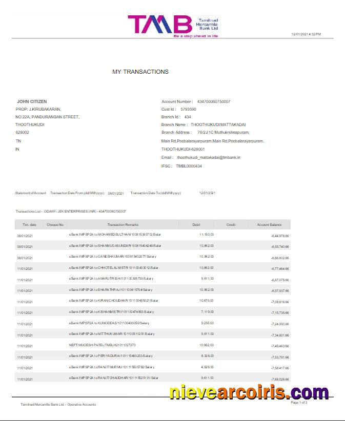 Realistic India TAB Bank Statement Word And PDF Template Scr