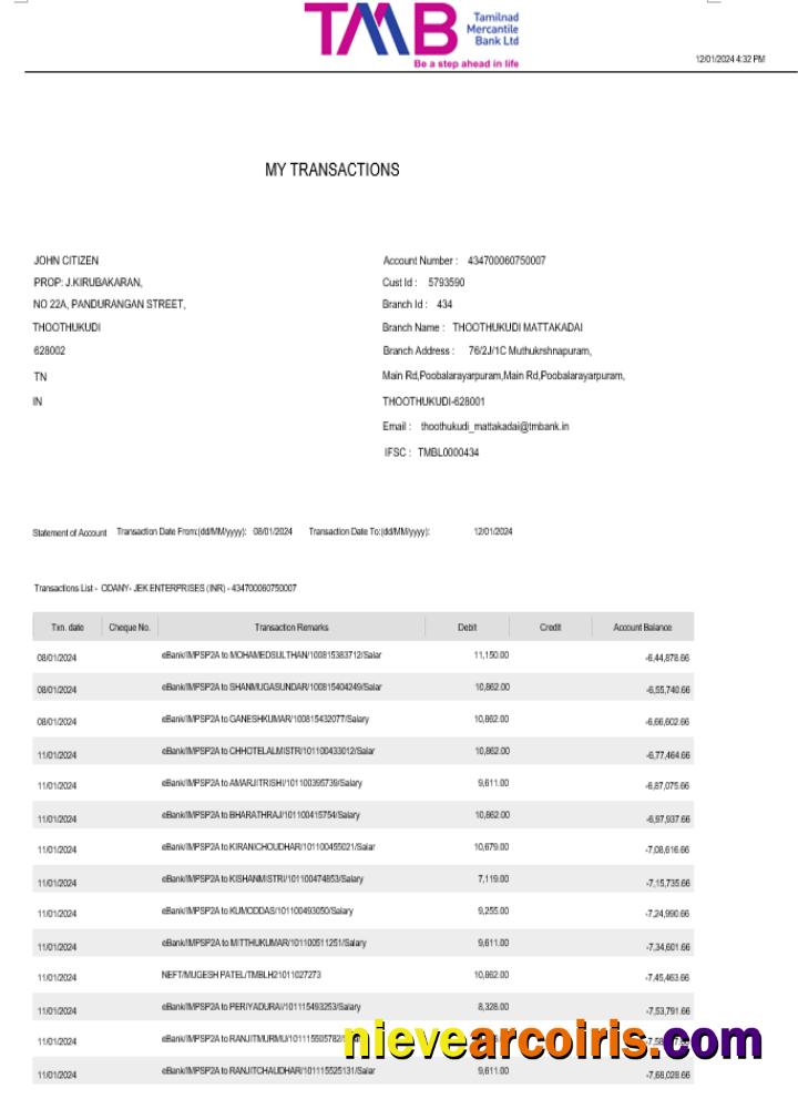 Premium India TAB Bank Statement Word And PDF Template, 2 Pages
