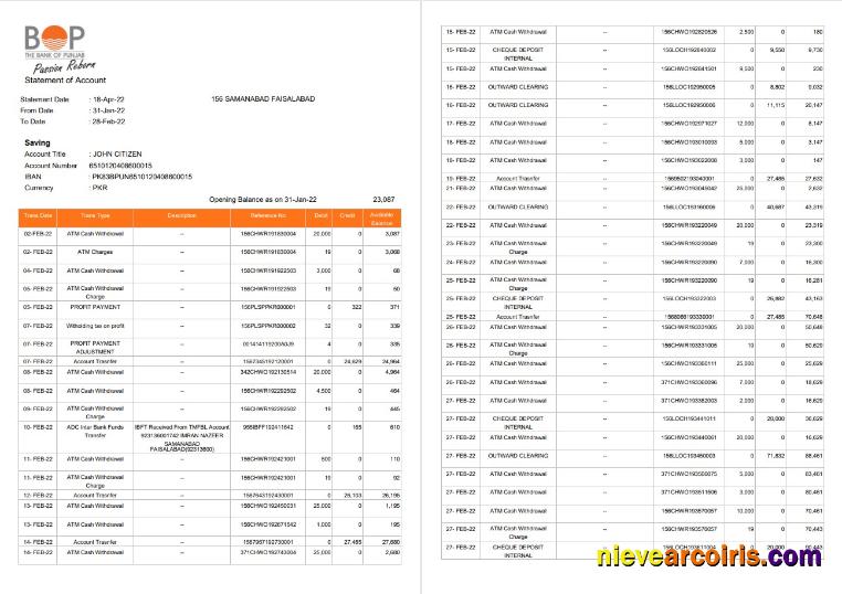 India The Bank Of Punjab (BOP) Account Statement, 3 Pages Template