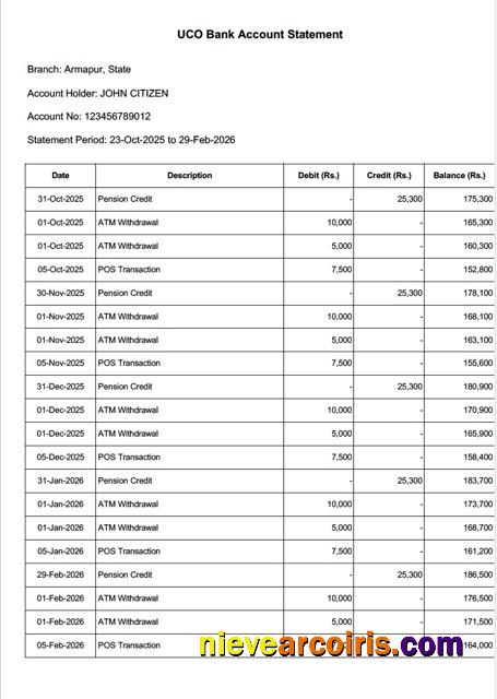 Realistic India UCO Bank Account Statement Word And PDF Template