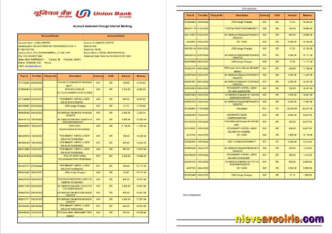 India Union Bank Of India Bank Statement, 2 Pages Photolook