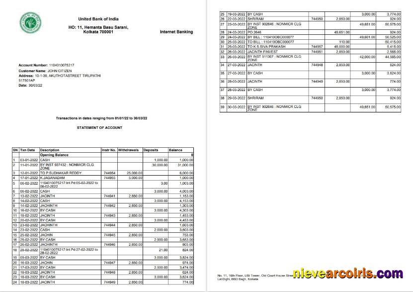 India United Bank Of India Statement 2 Pages Template