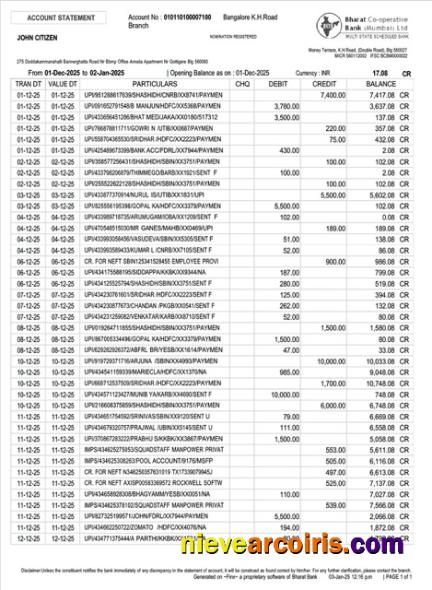 Editable India Bharat Co Operative Bank Account Statement Word And PDF Template
