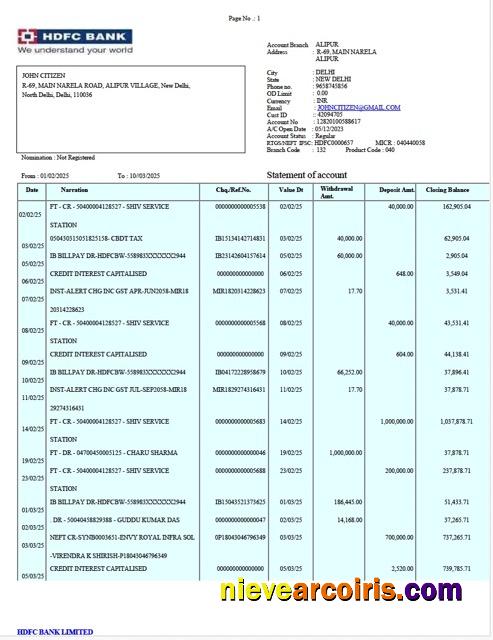 Professional India HDFC Bank Statement Word And PDF Template