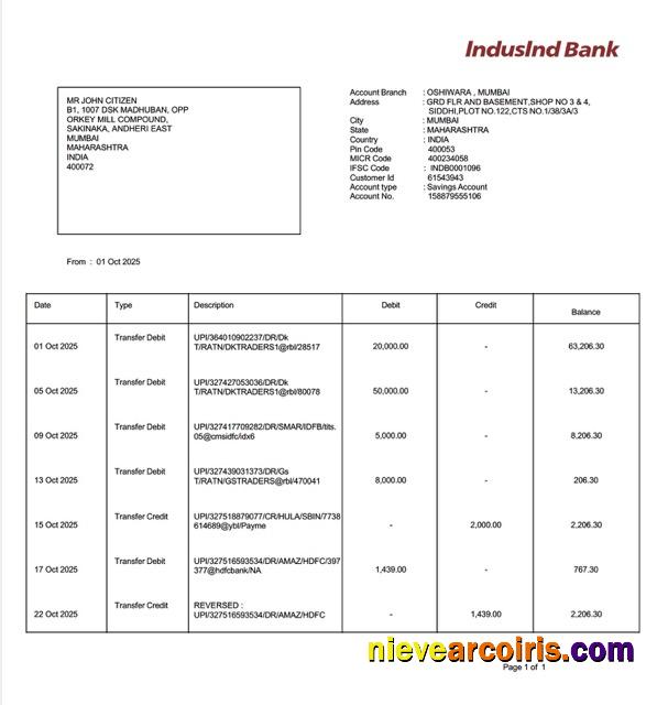 Editable India IndusInd Bank Account Statement Word And PDF Template