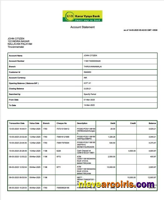 Premium India Karur Vysya Bank Account Statement Word And PDF Template