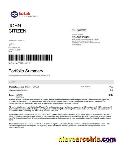 Realistic India Kotak Mahindra Bank Account Statement Word And PDF Template