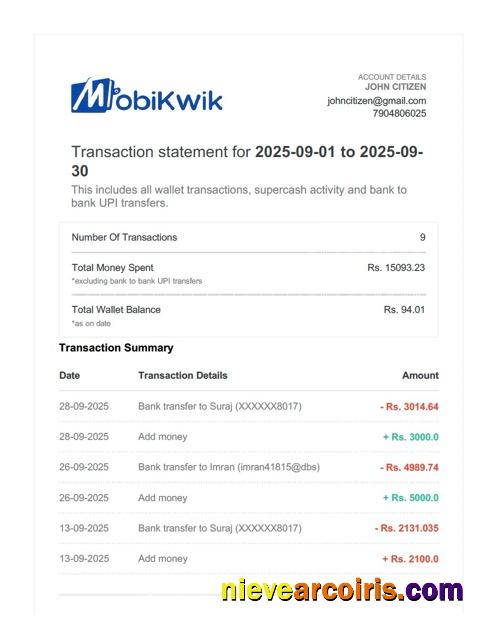 Professional India MobiKwik Transaction Statement Word And PDF Template