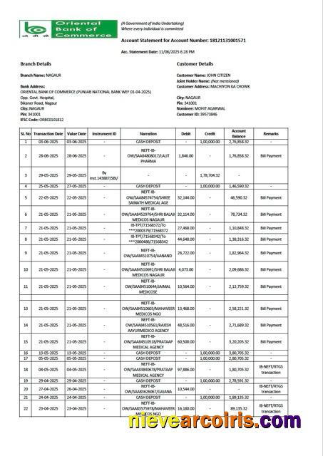 Realistic India Oriental Bank Of Commerce Account Statement Word And PDF Template