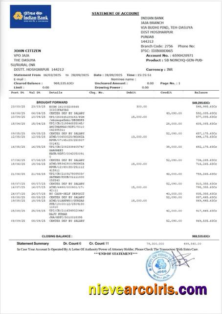 Editable Indian Bank Statement Of Account Word And PDF Template