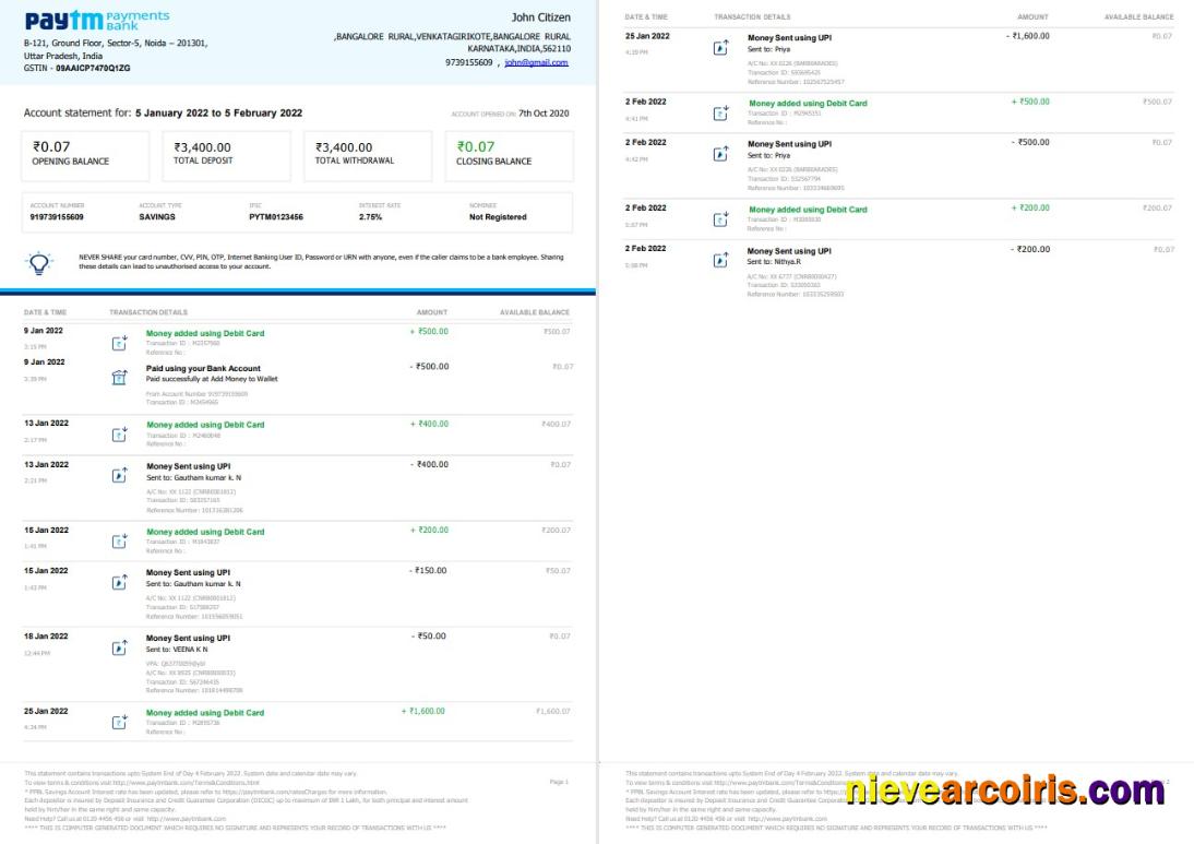 Indian Paytm Bank Statement 2 Page Preview