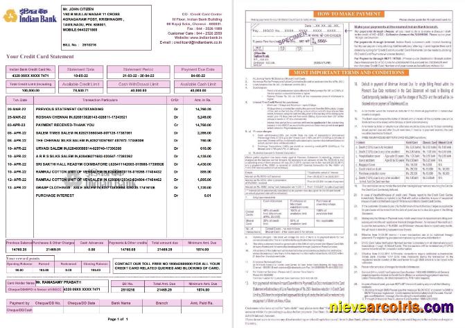 Indian Bank Credit Card Statement 2 Pages Photolook
