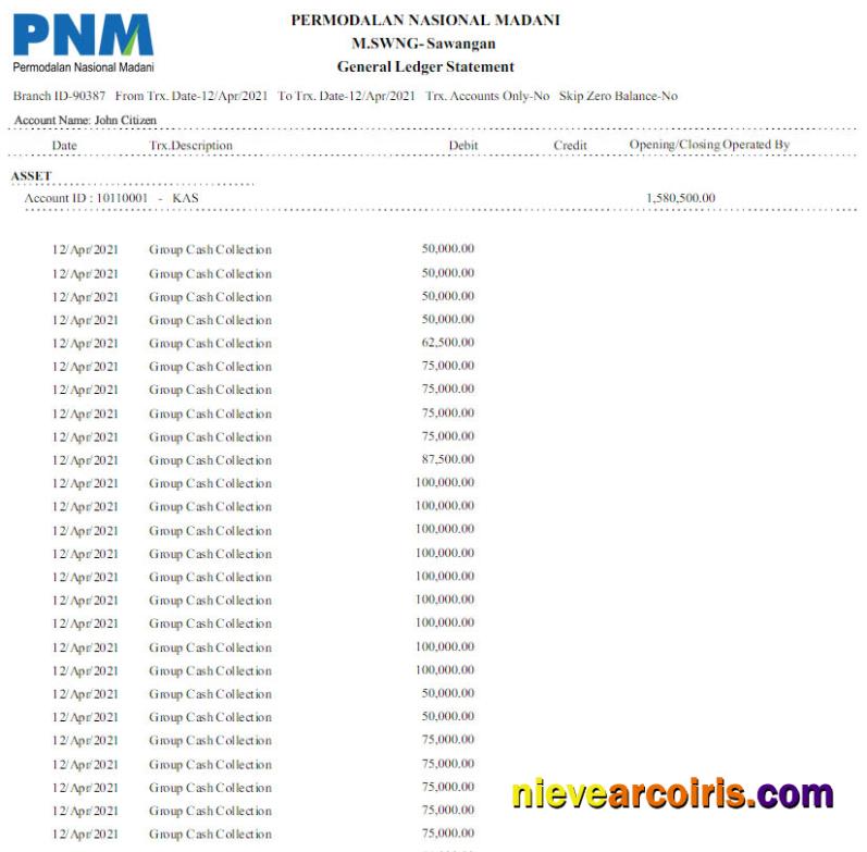Editable Indonesia Permodalan Nasional Madani Bank Statement Word And PDF Template Scr