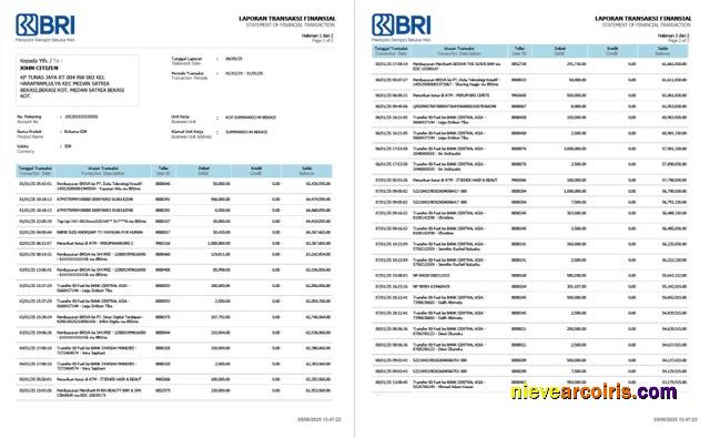 Realistic Indonesia Bank Rakyat Indonesia (BRI) Statement Of Financial Transaction Word And PDF Template, 2 Pages