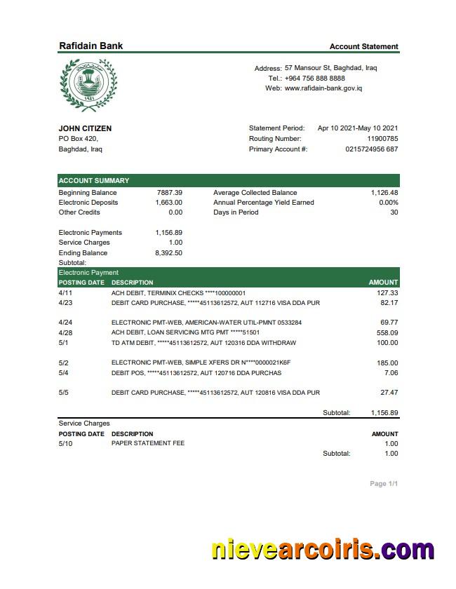 Realistic Iraq Rafidain Bank Statement Template In .xls And .pdf File Format