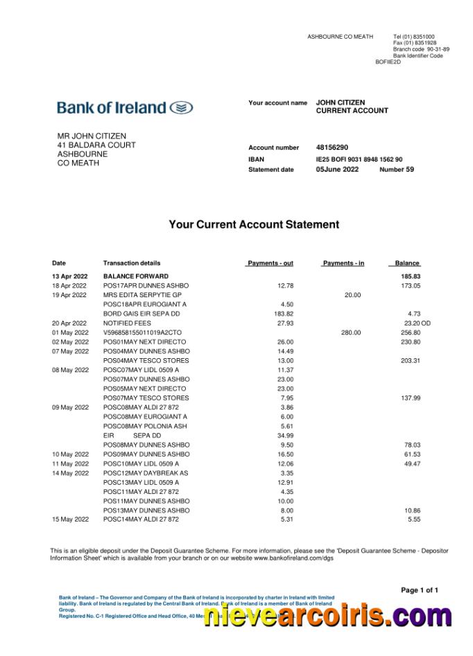 Realistic Ireland Bank Of Ireland Bank Statement Template, Word And PDF Format, 2 Pages