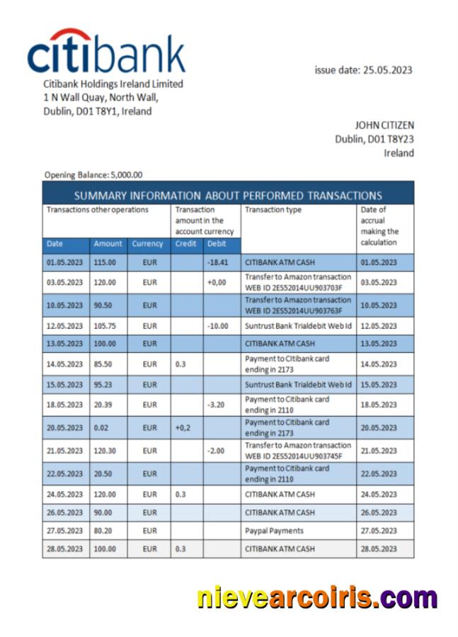 Realistic Ireland Citibank Bank Statement Word And PDF Template