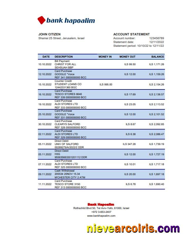 Editable Israel Hapoalim Bank Statement Excel And PDF Template