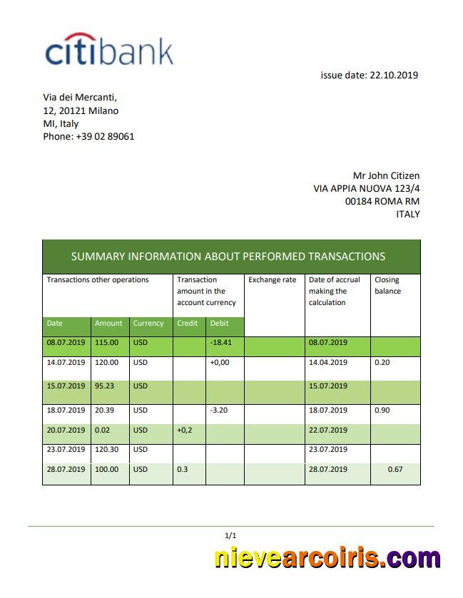Italy Citibank Statement Preview