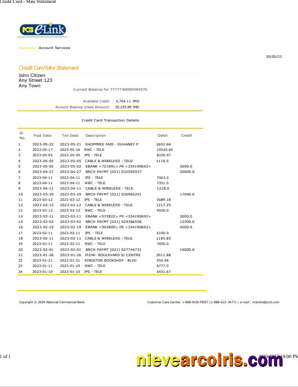 Professional Jamaica National Commercial Bank Statement Word And PDF Template