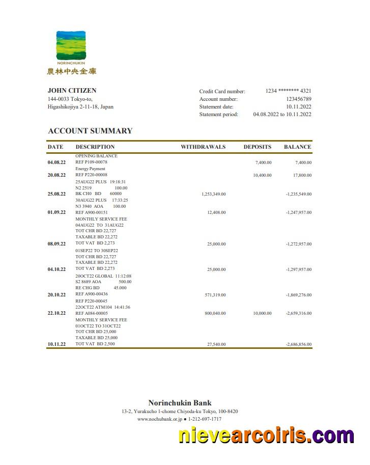 Japan Norinchukin Bank Statement Xls Template