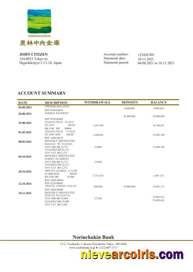 Japan Norinchukin Bank Statement Preview