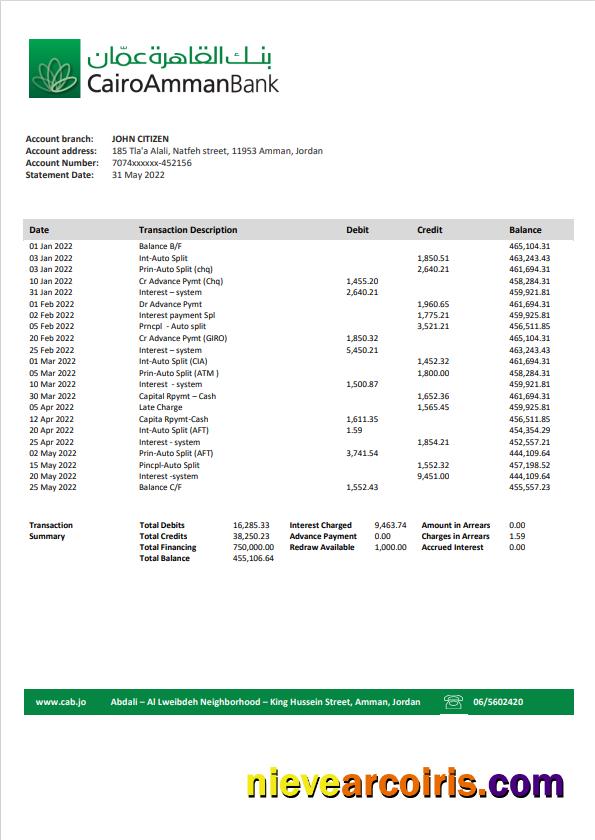 Premium Jordan Cairo Amman Bank Statement Template In Word And PDF Format