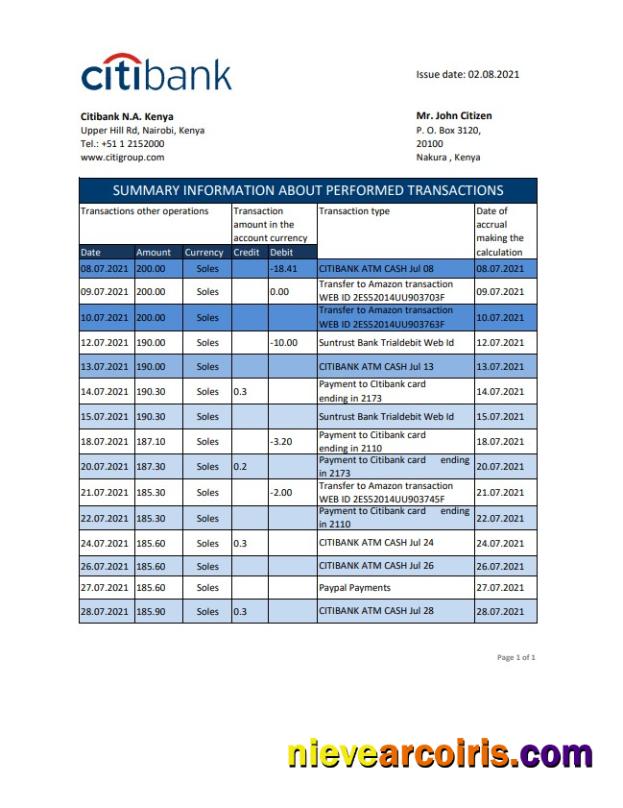 Professional Kenya Citibank Bank Statement Easy To Fill Template In .xls And .pdf File Format