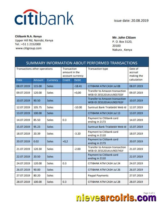 Kenya Citibank Bank Statement Preview