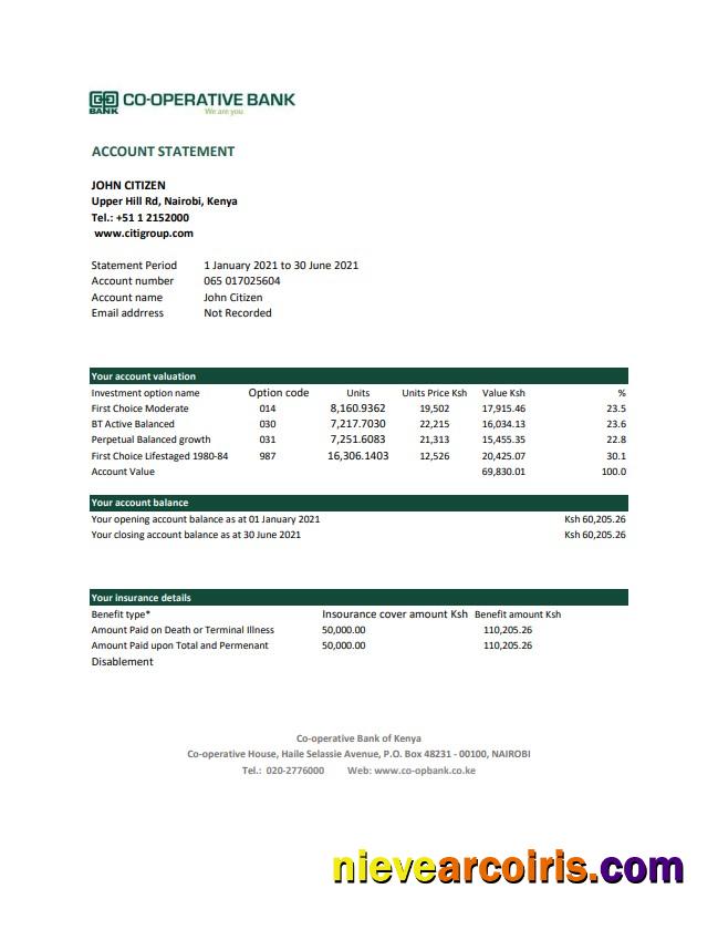 Premium Kenya Co Operative Bank Of Kenya Bank Statement Easy To Fill Template In Excel And PDF Format