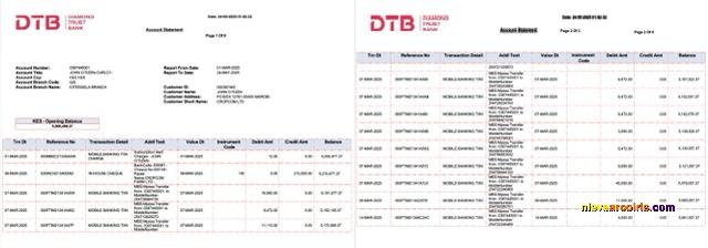 Professional Kenya Diamond Trust Bank Account Statement Word And PDF Template, 2 Pages