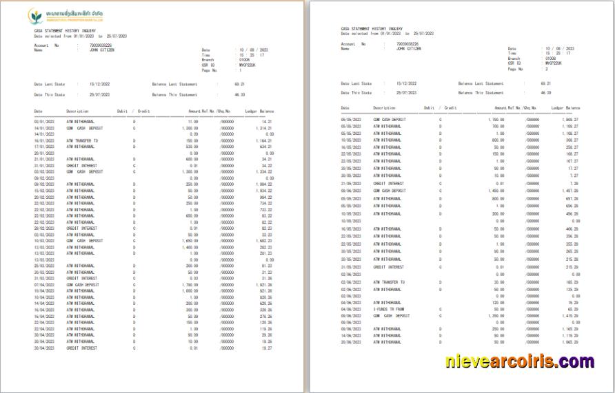 Premium Laos Agricultural Promotion Bank Statement Word And PDF Template, 3 Pages