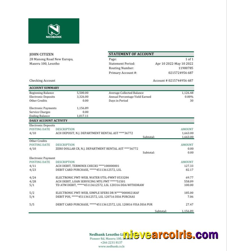 Professional Lesotho Nedbaank Bank Statement Excel And PDF Template