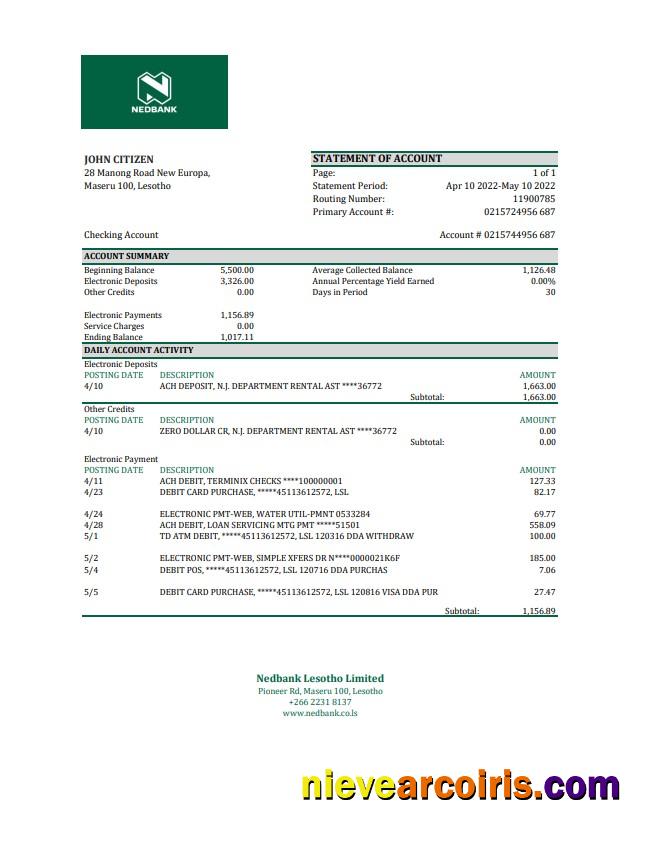 Lesotho Nedbaank Statement Template