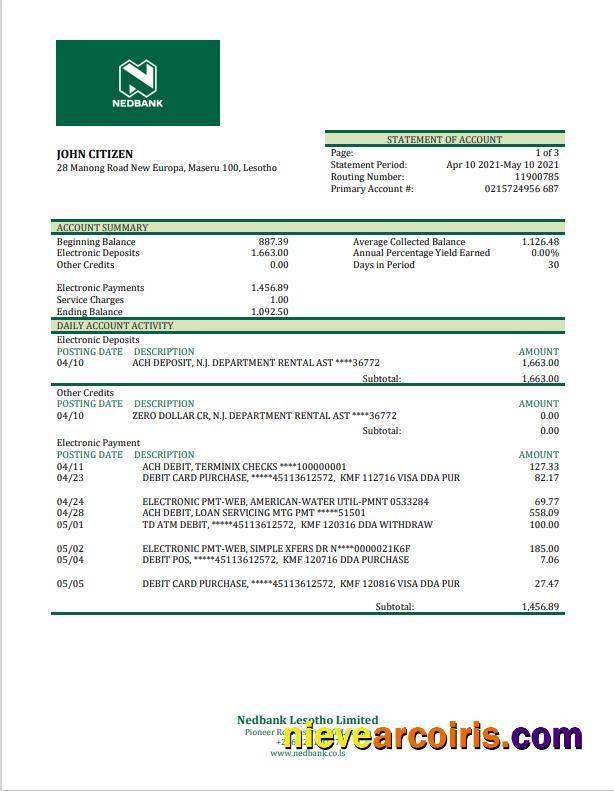 Professional Lesotho Nedbank Bank Statement Template In Word And PDF Format