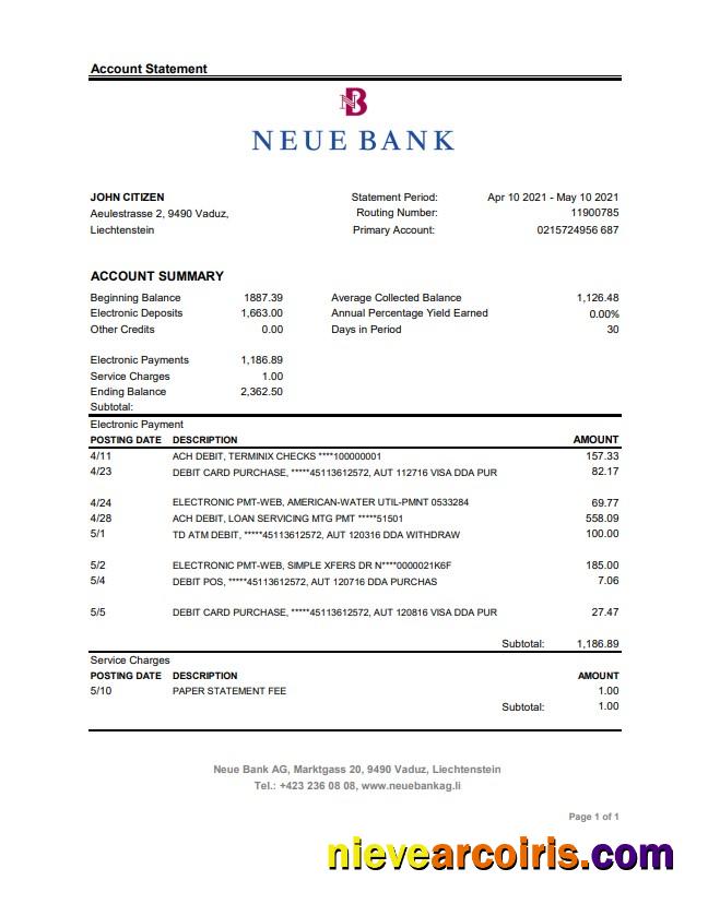 Professional Liechtenstein Neue Bank AG Bank Statement Easy To Fill Template In .xls And .pdf File Format
