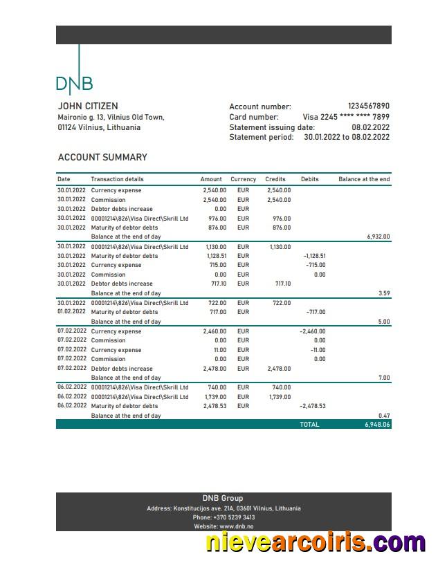 Lithuania DNB Bank Statement Photolook