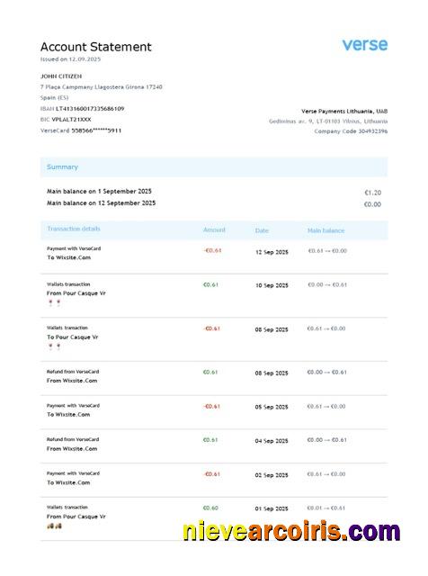 Realistic Lithuania Verse Payments Account Statement Word And PDF Template