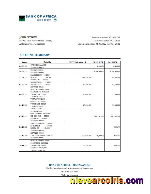 Professional Madagascar Bank Of Africa Bank Statement Excel And PDF Template