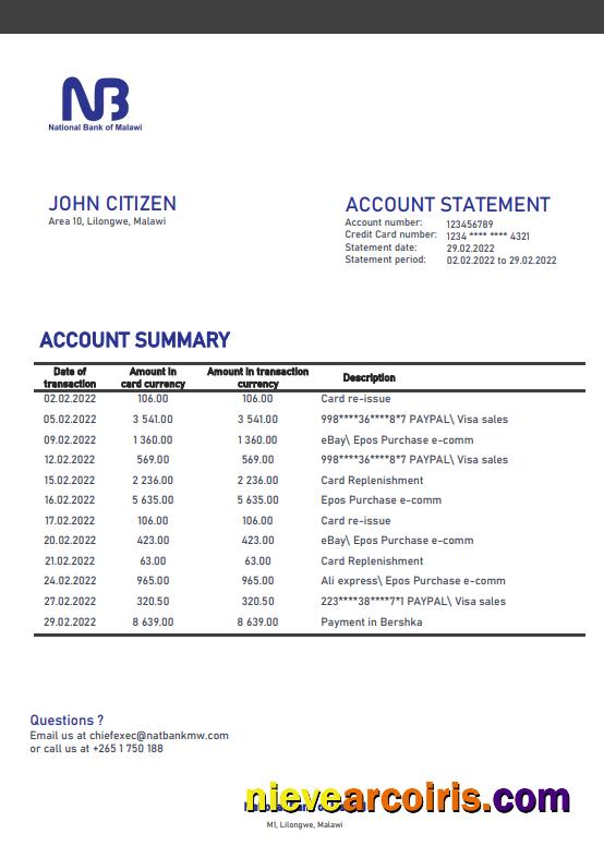 Premium Malawi National Bank Of Malawi Bank Statement Template In Word And PDF Format