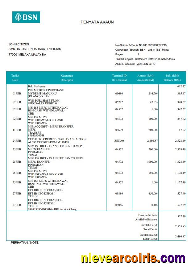Malaysia BSN Bank Statement Preview