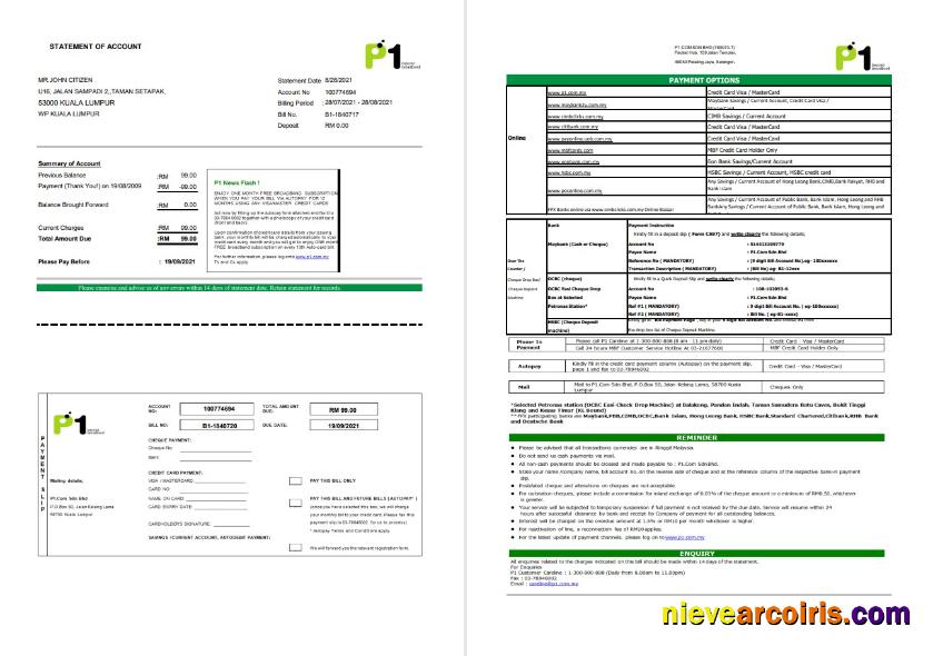 Malaysia Packet 1 Network Excel Pdf Photolook