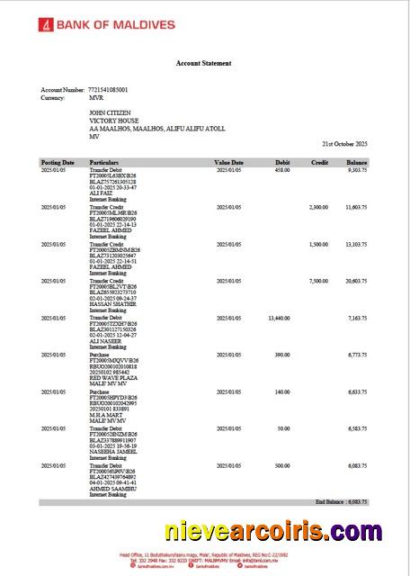 Professional Maldives Bank Of Maldives Account Statement Word And PDF Template