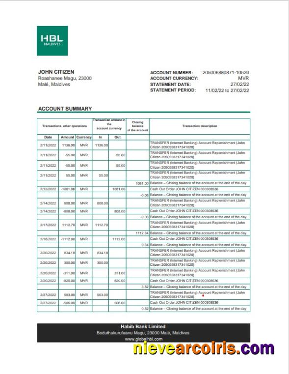 Premium Maldives HBL Bank Statement Excel And PDF Template
